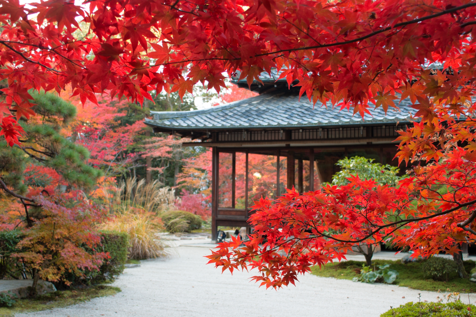 京都イメージ